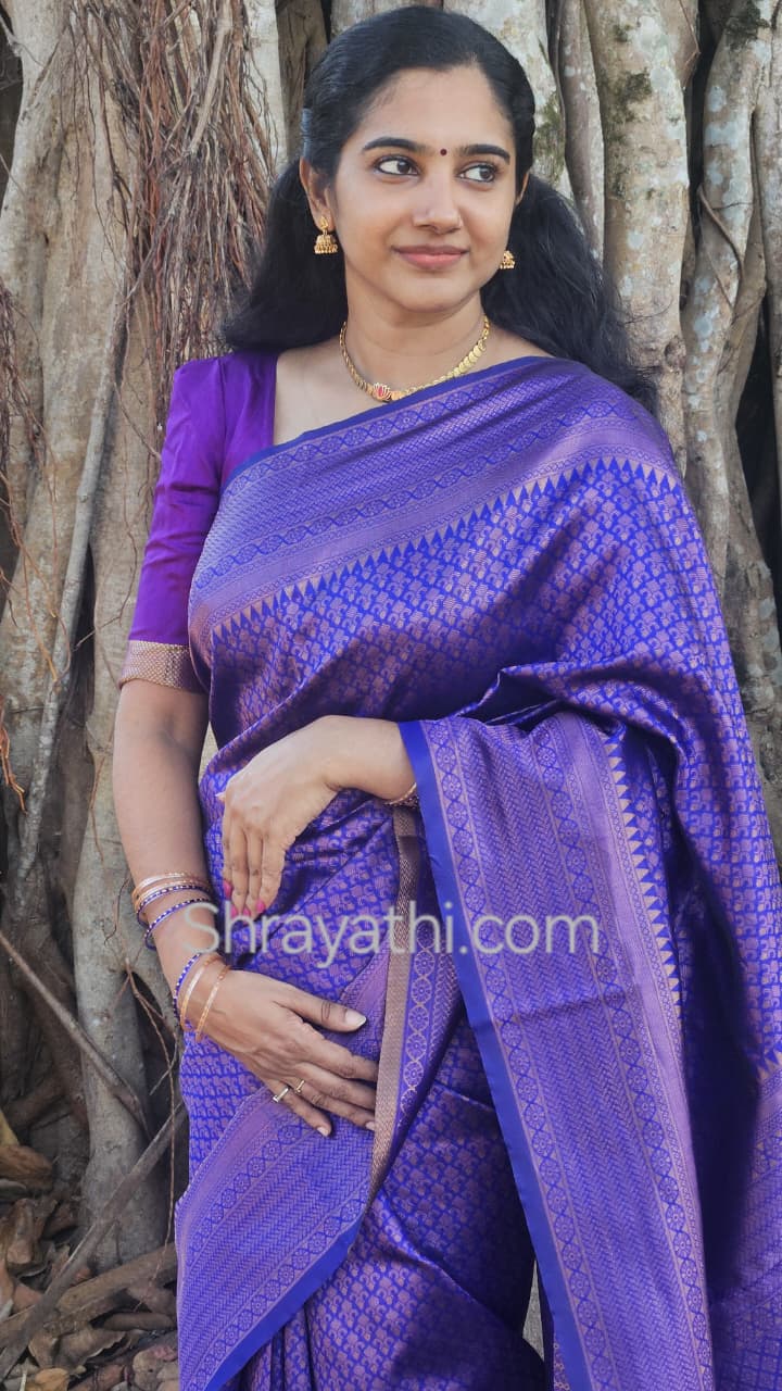 Litchi Silk Saree With Blouse Piece